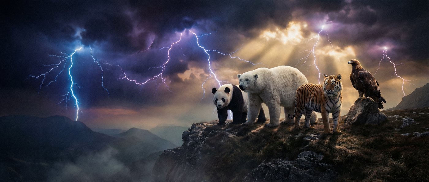 麻豆动物写真视频社区